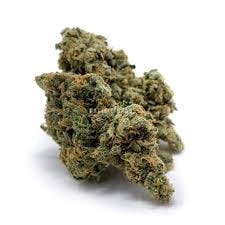 Cali Kush Haze - Bold