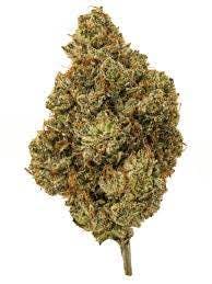 OG Kush - Natural State Medicinals
