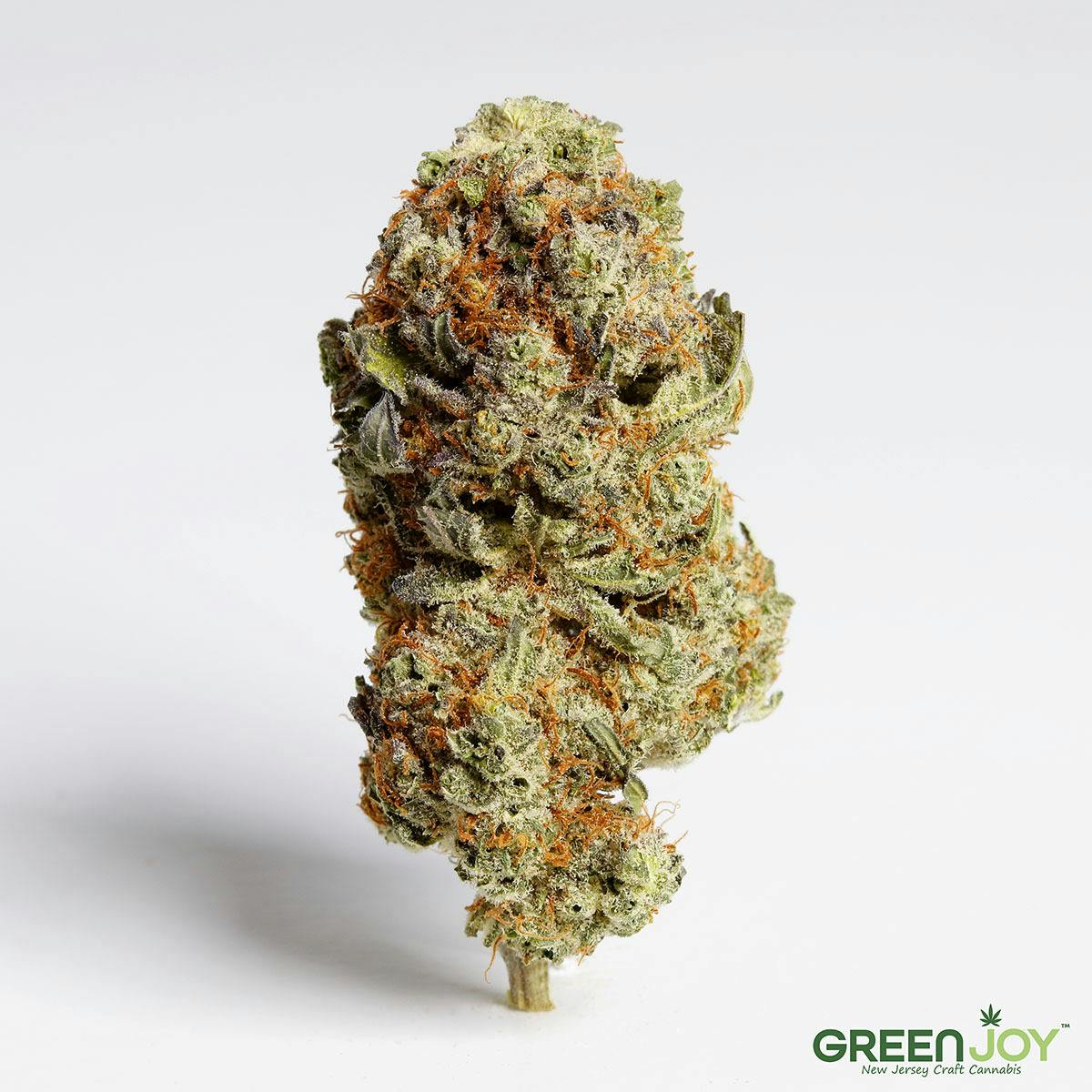 Hight - Cheddar Cheese - Flower - 1 g at Green Knight Dispensary