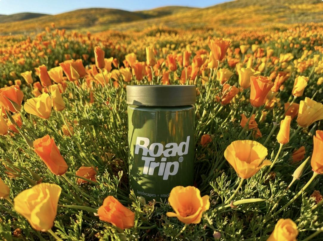 Road Trip - Sun Cake - Preroll - 28 g - 28 Pack