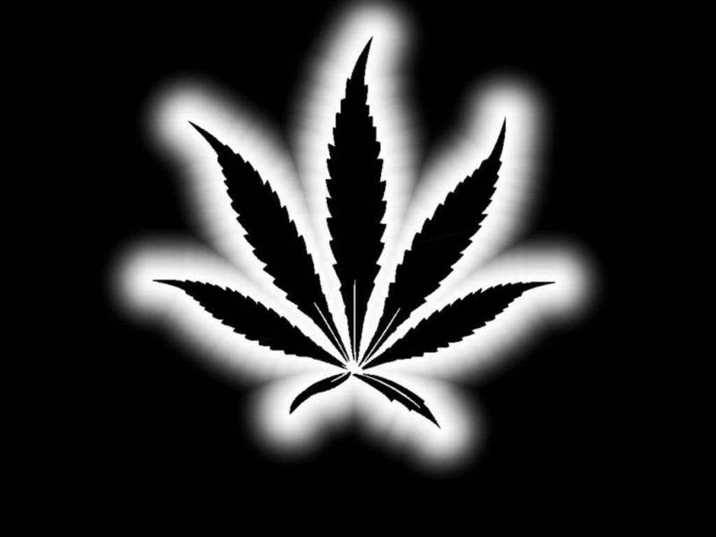 Just Weed - Fumez - Flower - 28 g