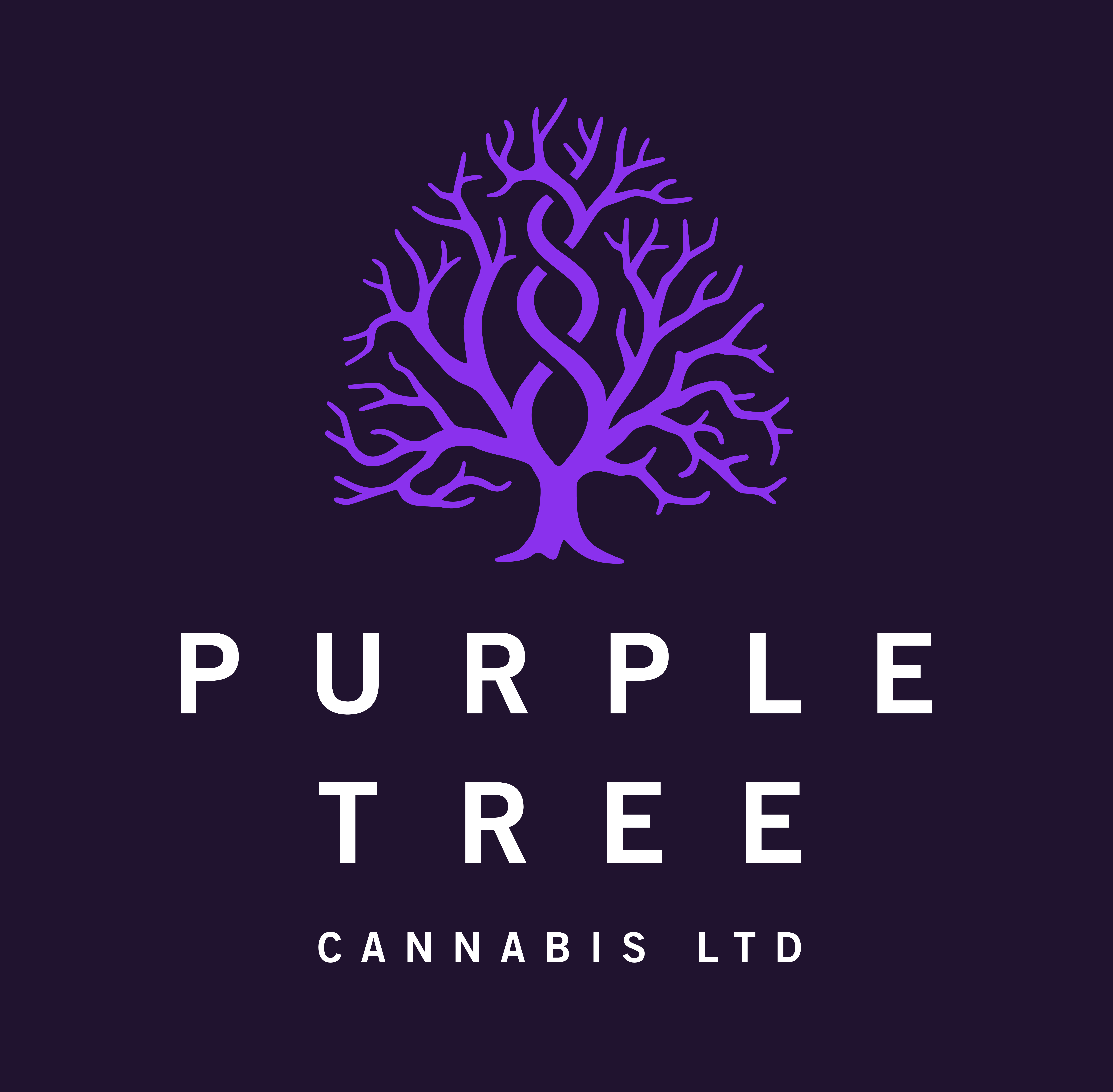Purple Tree Quarter Zip Sweater - Medium