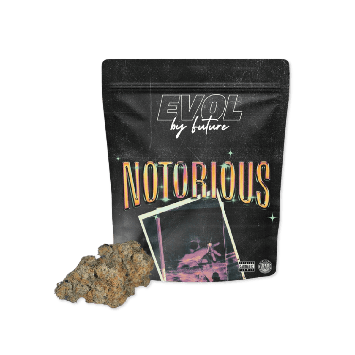 NOTORIOUS #1 | 1G at Nirvana - Mount Carmel