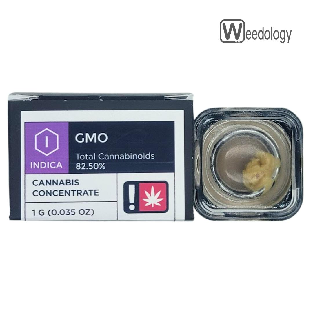 Pruf Cultivar: GMO Live