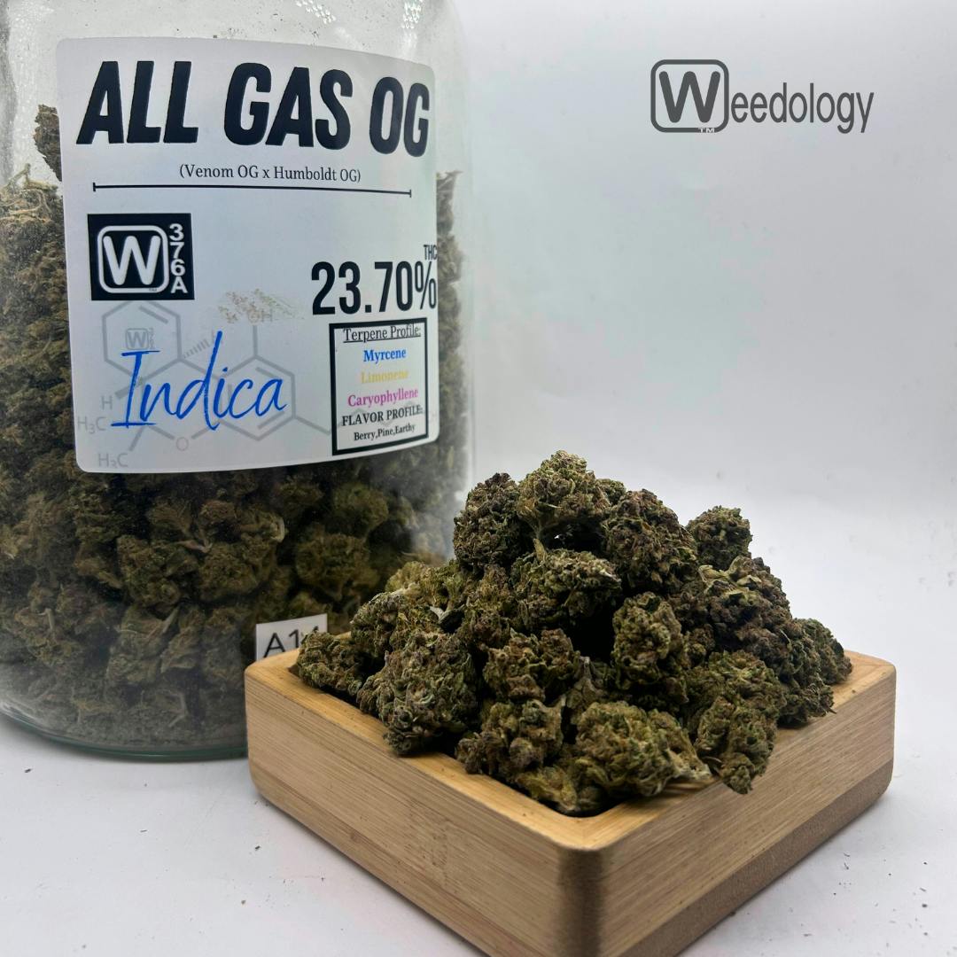 All Gas OG