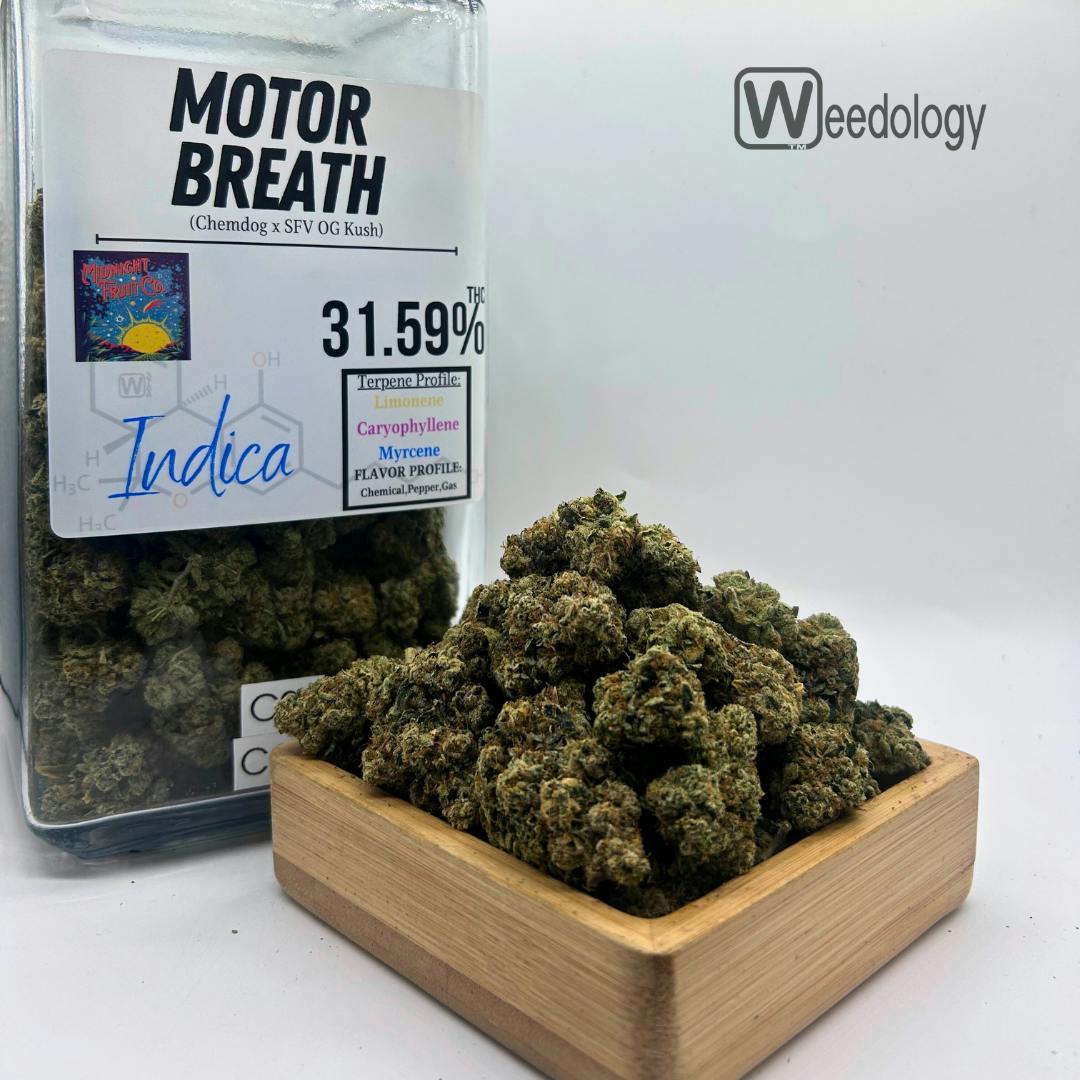 Motor Breath (H)