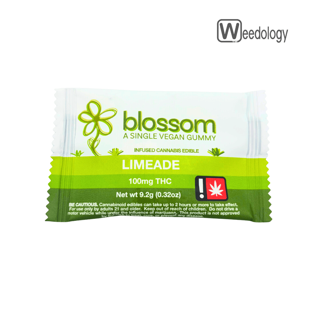 Blossom: Single Limeade /pkg