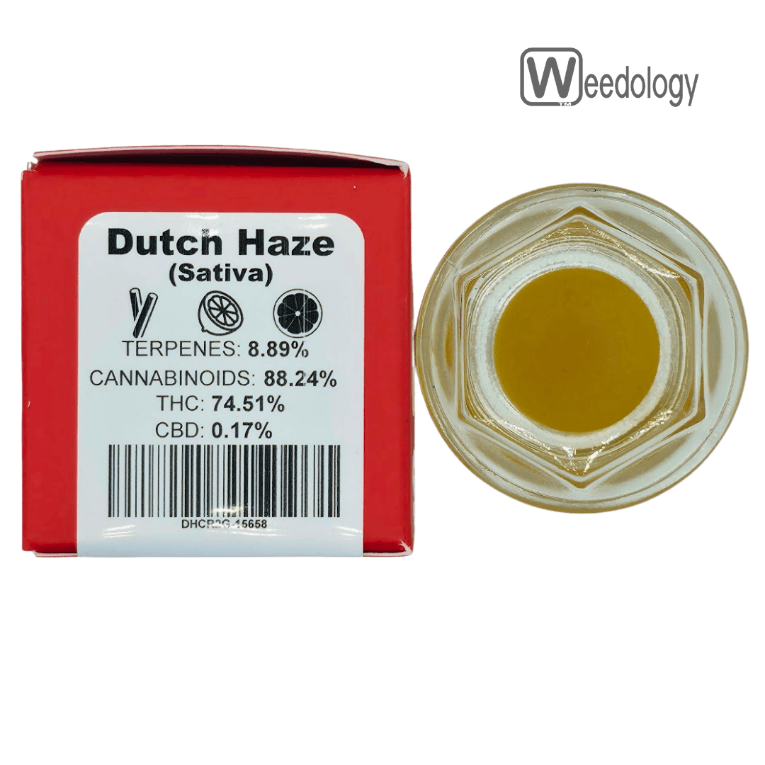 Bobsled: Dutch Haze Cr