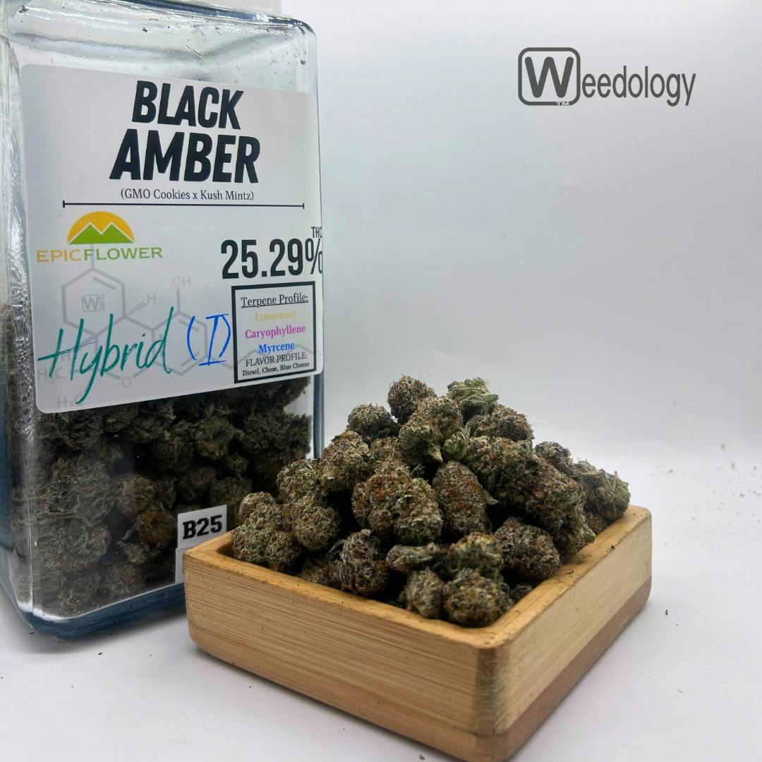 BLACK AMBER: Black Amber (I-H)