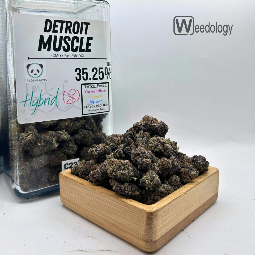 Detroit Muscle (.S-H)