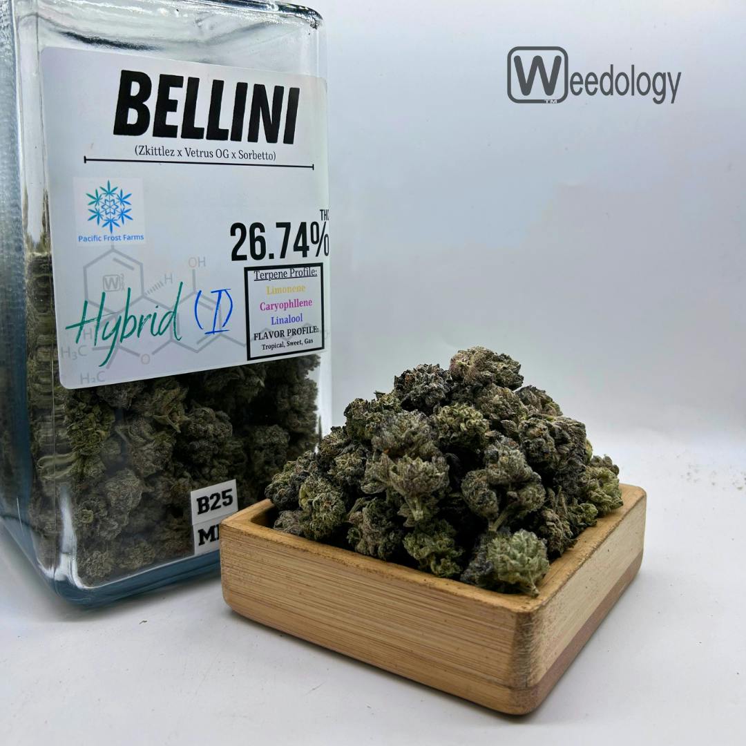 Bellini: Bellini (I-H)