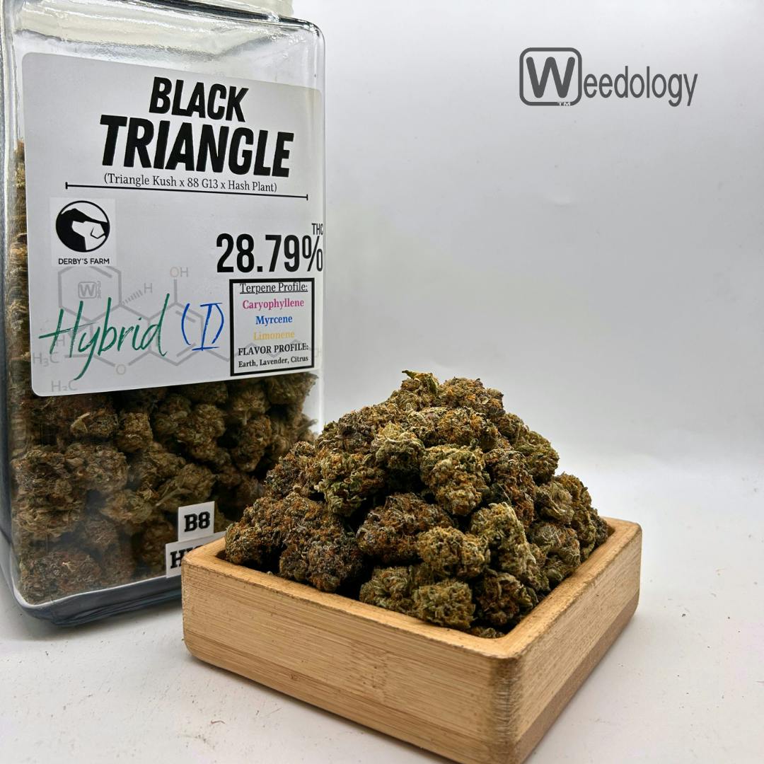 BLACK: Black Triangle (I-H)