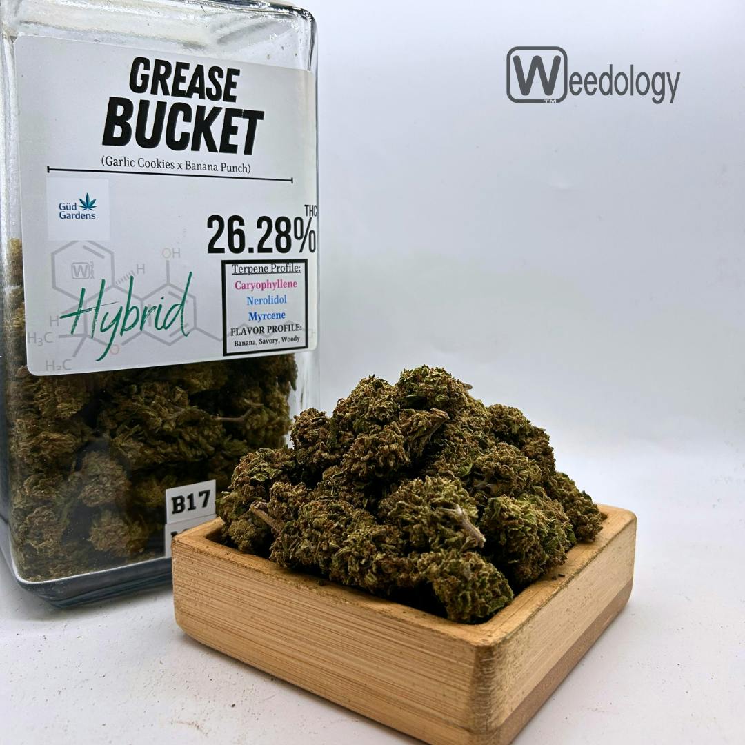 Grease Bucket: Grease Bucket (H)