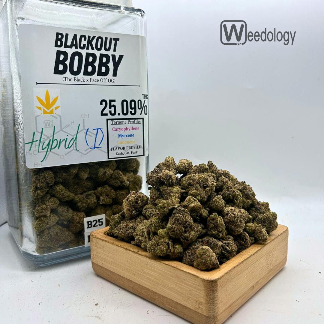 Blackout Bobby