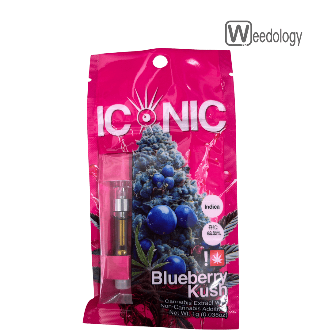 Iconic: Blueberry Kush Flav-dst
