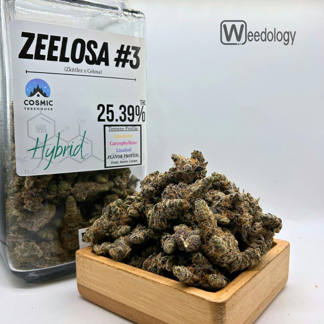 Zeelosa #3