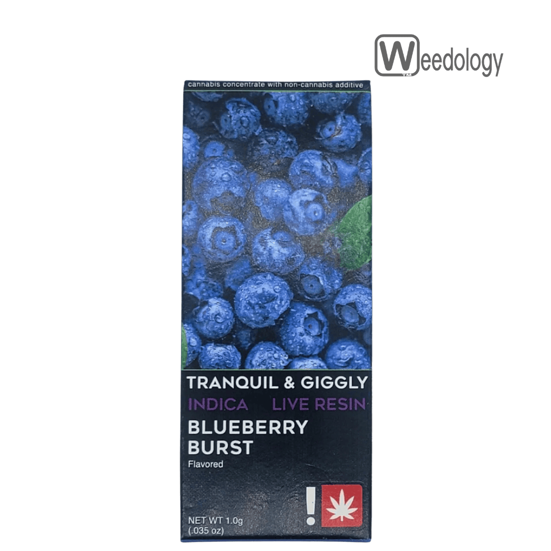 Freshy: Blueberry Burst Flav-lr