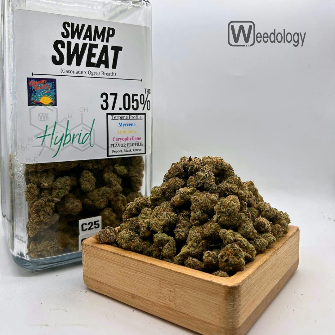 Swamp Sweat: Swamp Sweat (H)