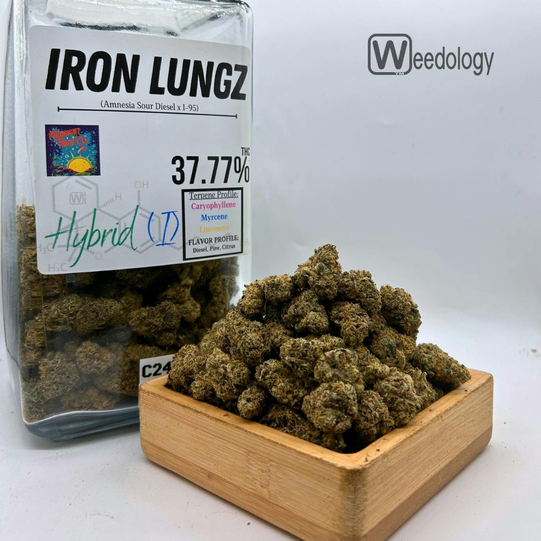Iron Lungz Bx