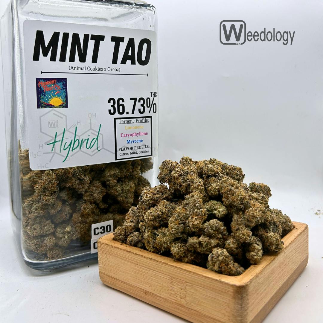 Mint: Mint Tao (H)