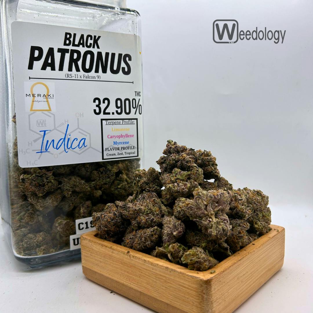 Black Patronus (I).