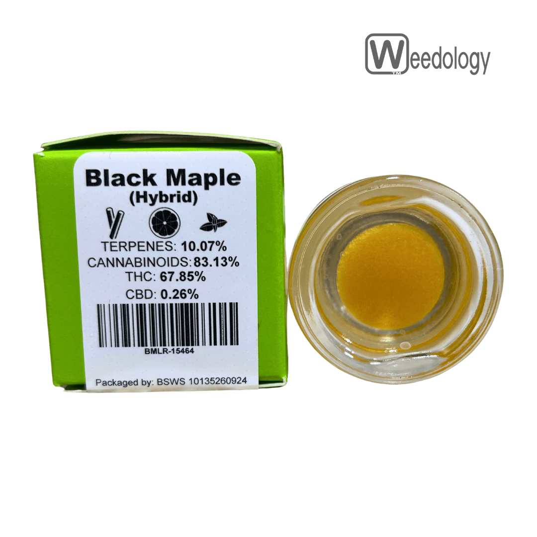 Bobsled: Black Maple Lr