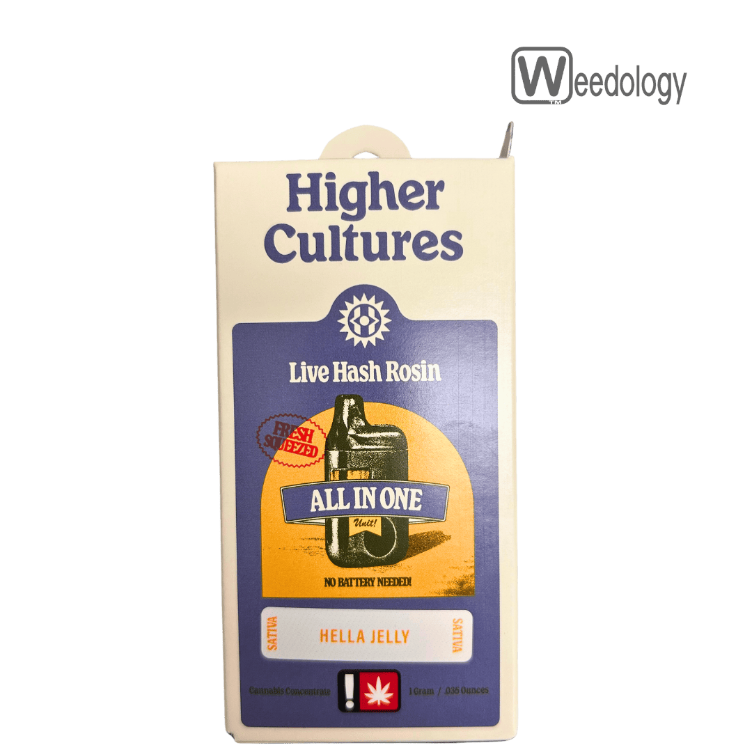 Higher Cultures: Hella Jelly Live