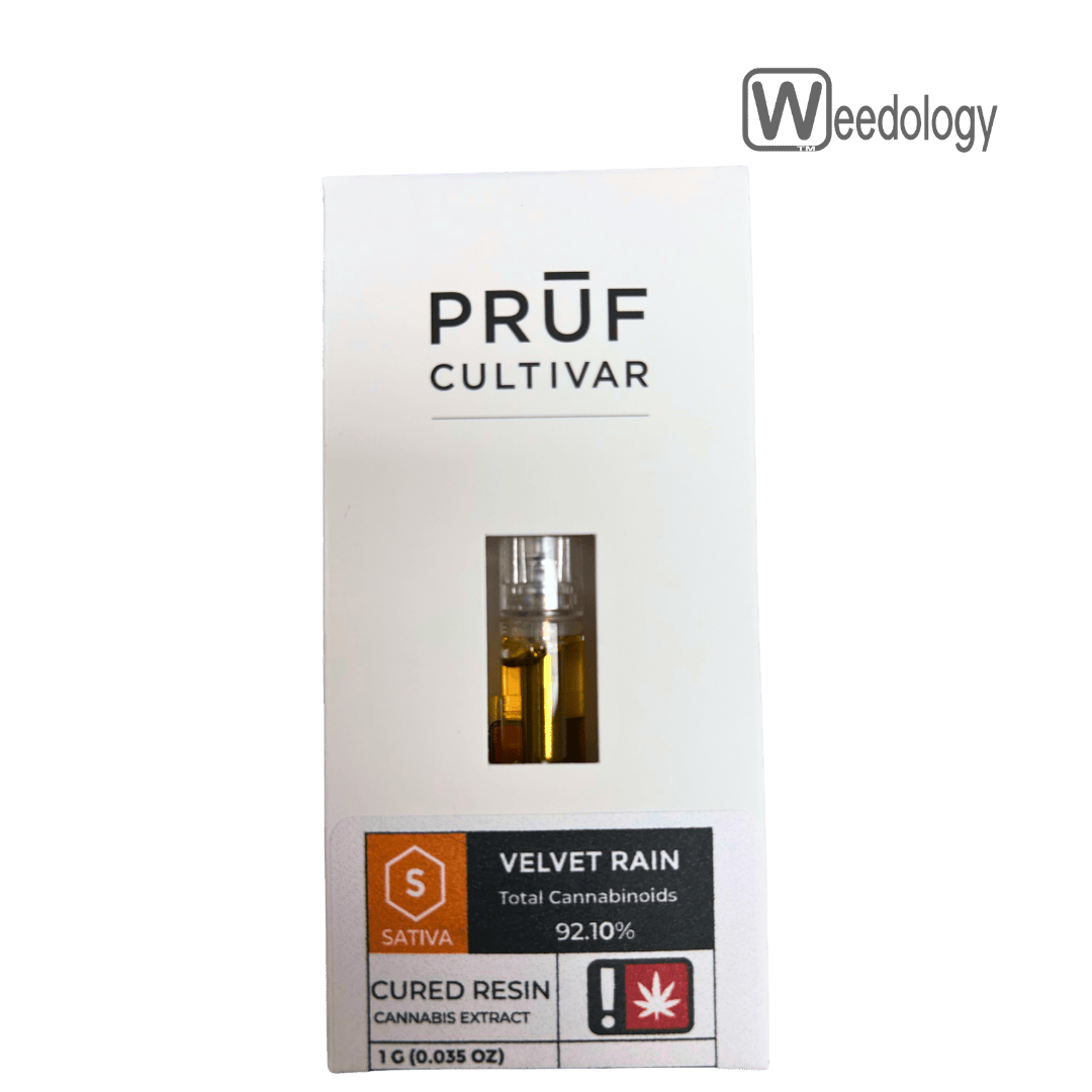 Pruf Cultivar: Velvet Rain Cr