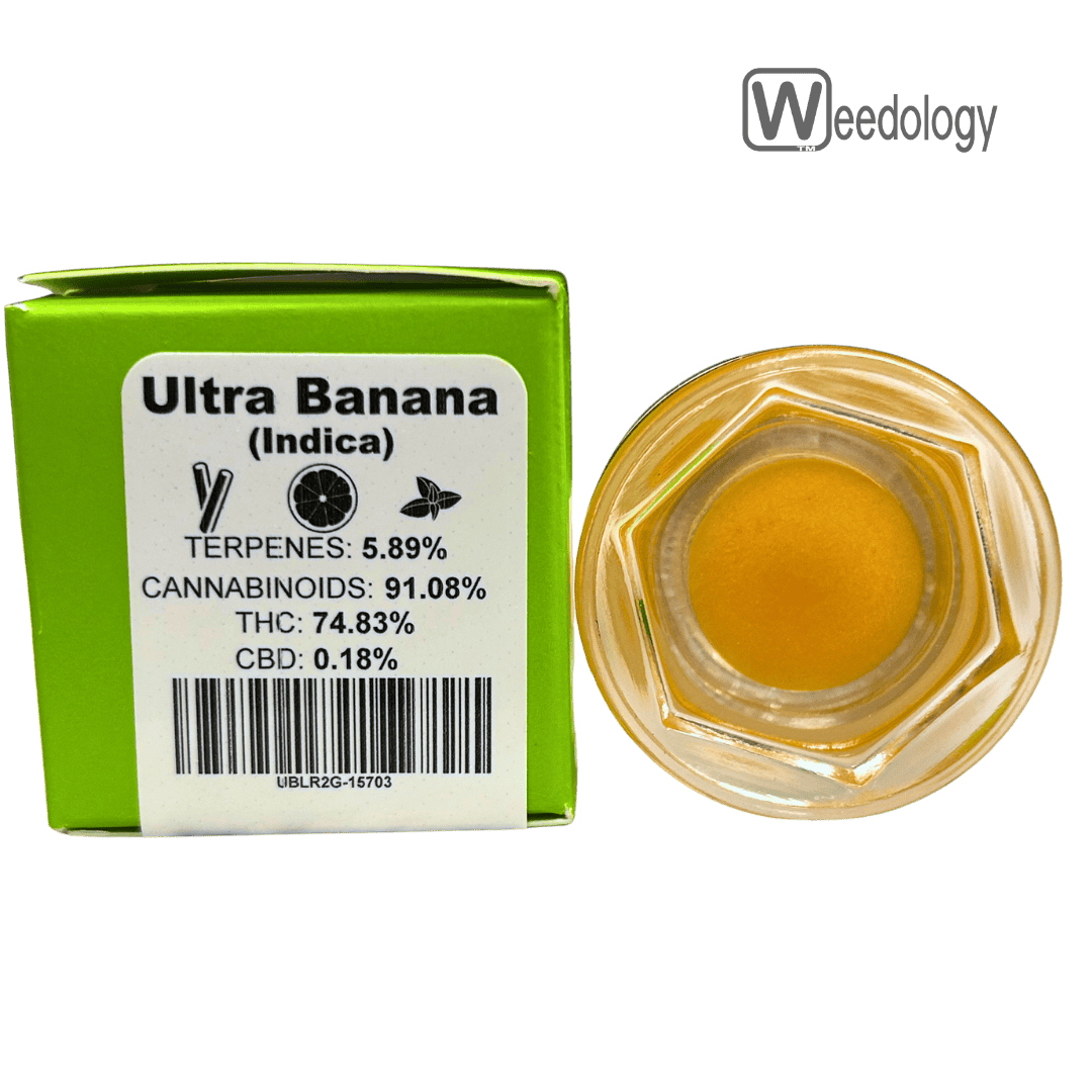 Bobsled: Banana Lr