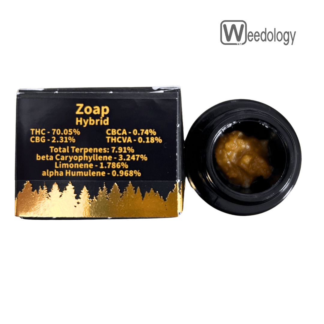 Entourage: Zoap