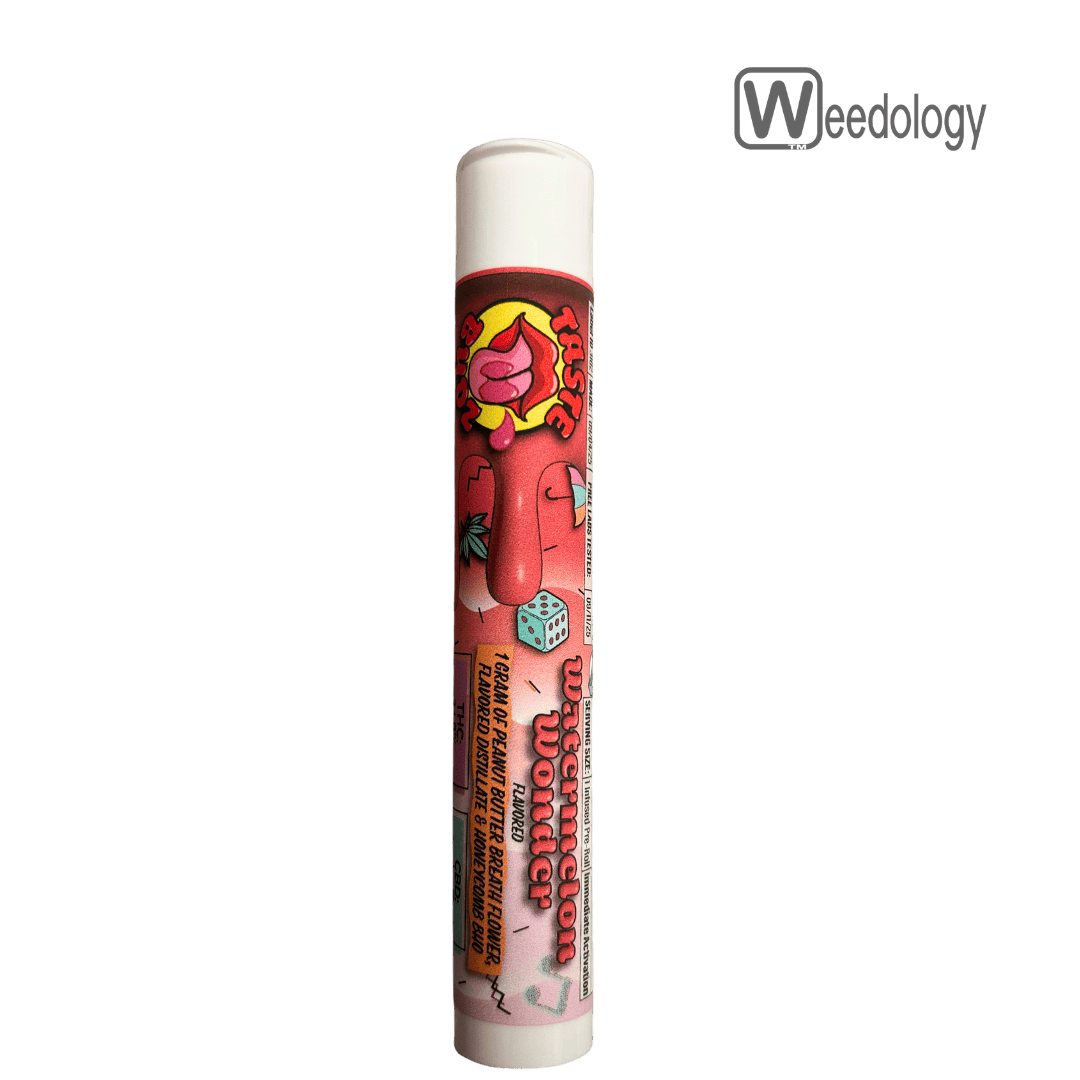 After Glow: Watermelon Wonder