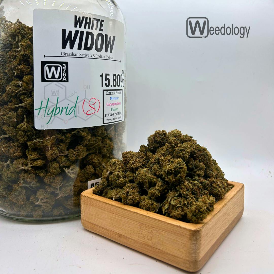 White Widow: White Widow (S-H)