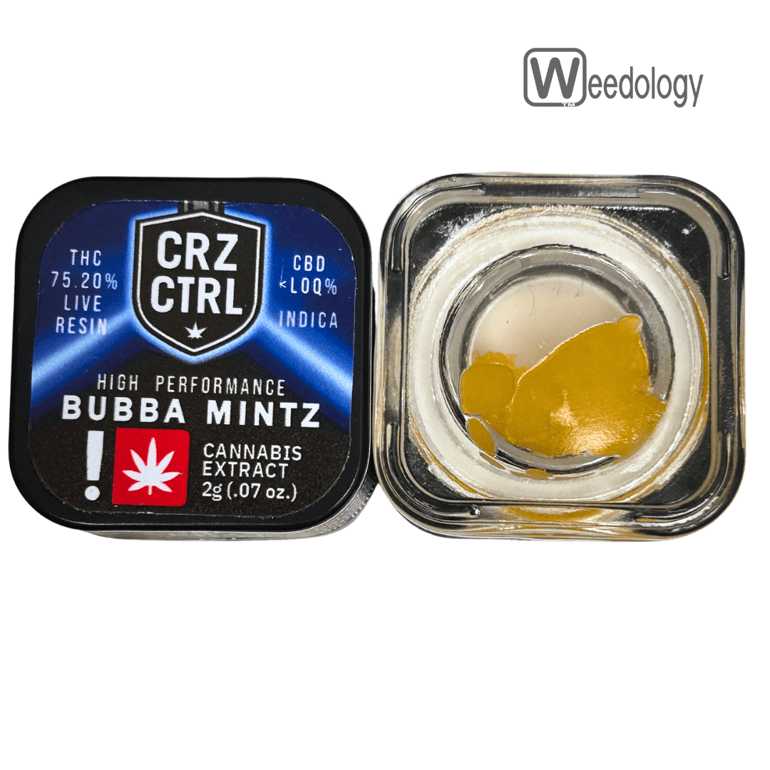Cruise Control: Bubba Mintz Lr