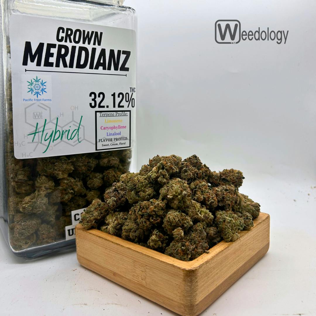 Crown Meridianz (H)