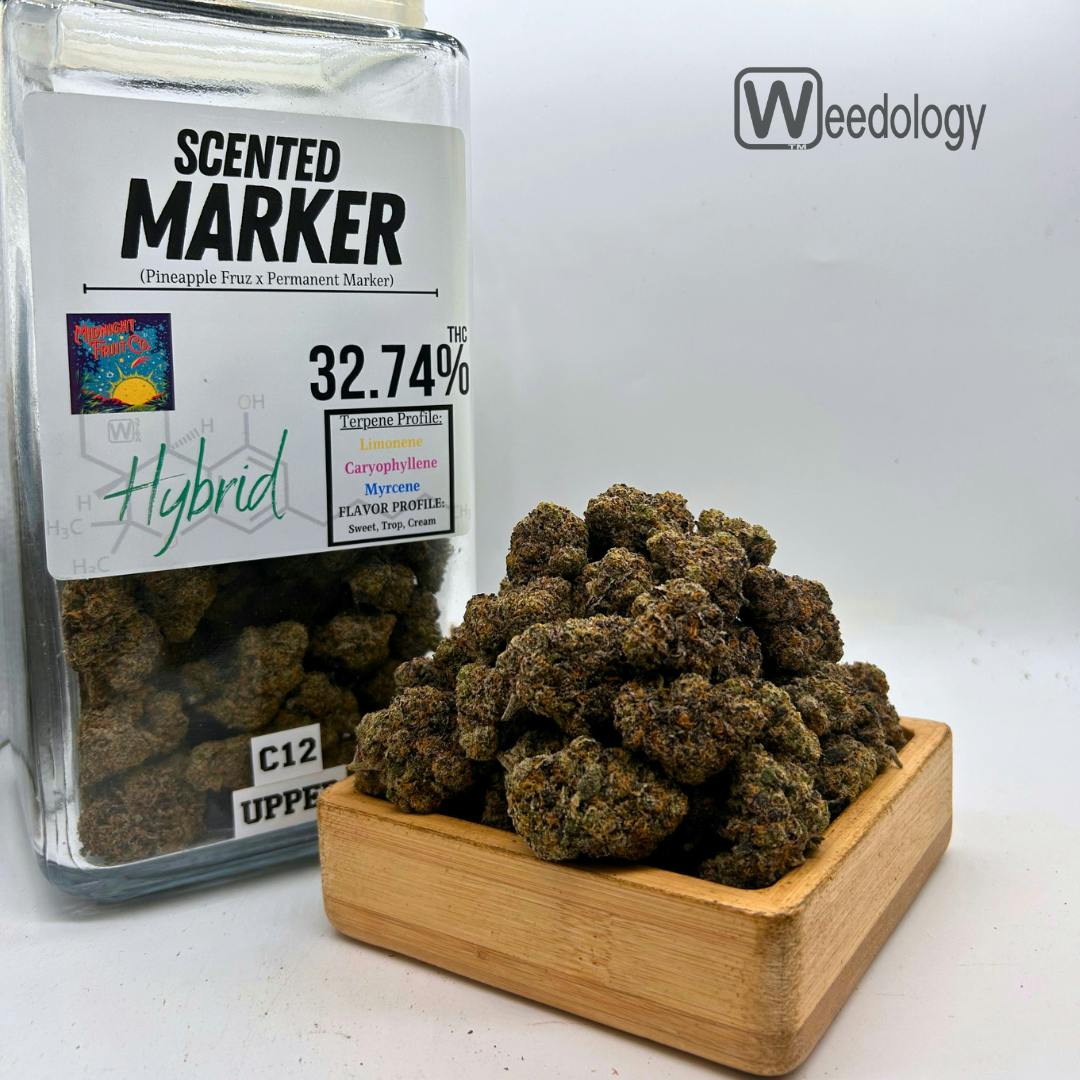 Scented Marker: Scented Marker (H).