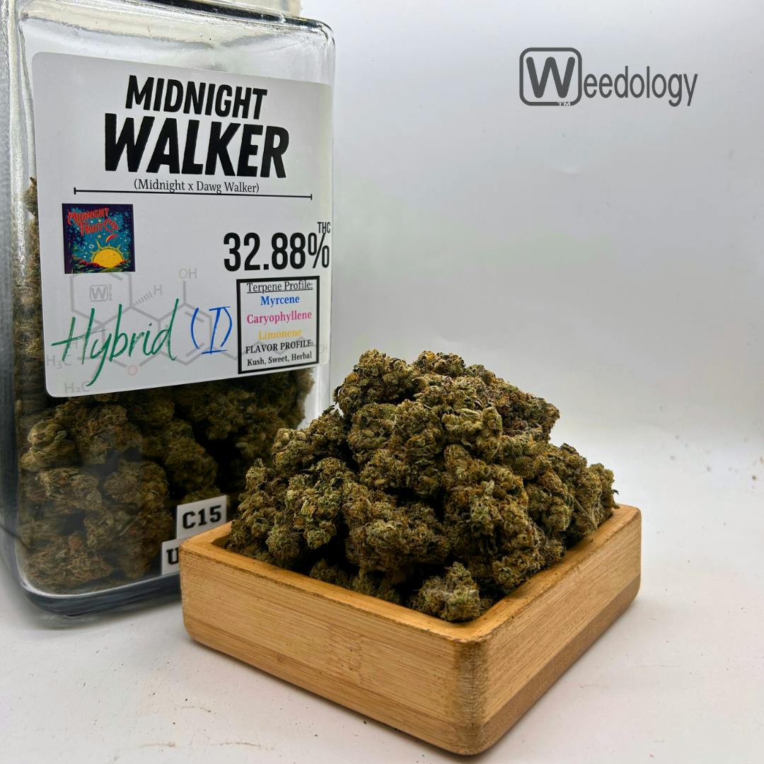 Midnight: Midnight Walker (I-H)