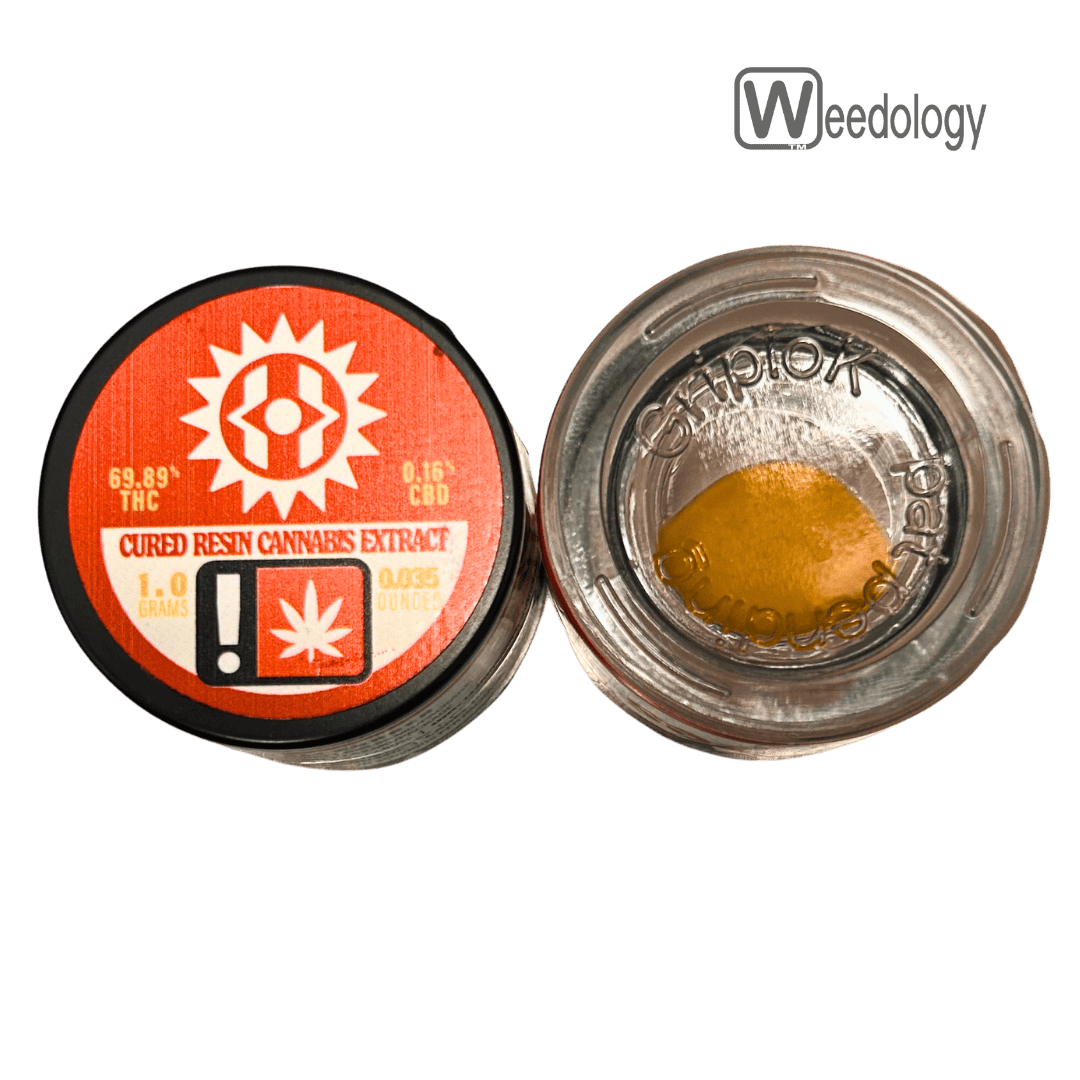 Higher Cultures: Cali Burger Budder