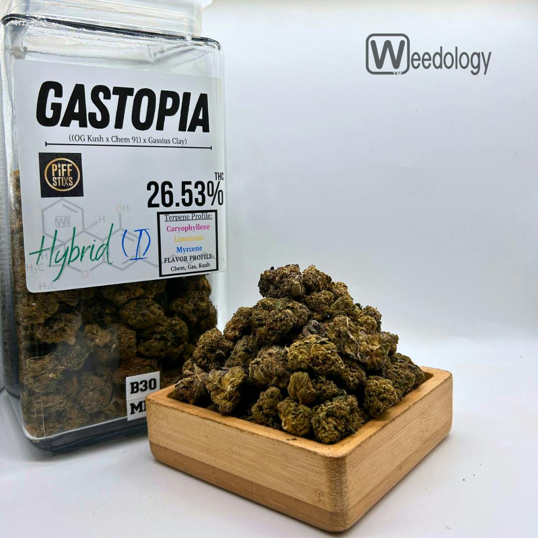 Gastopia: Gastopia (I-H)