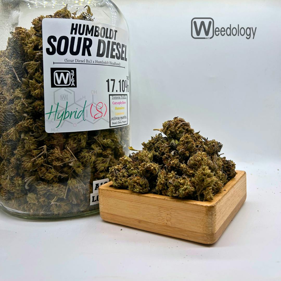 Humbolt Sour Diesel