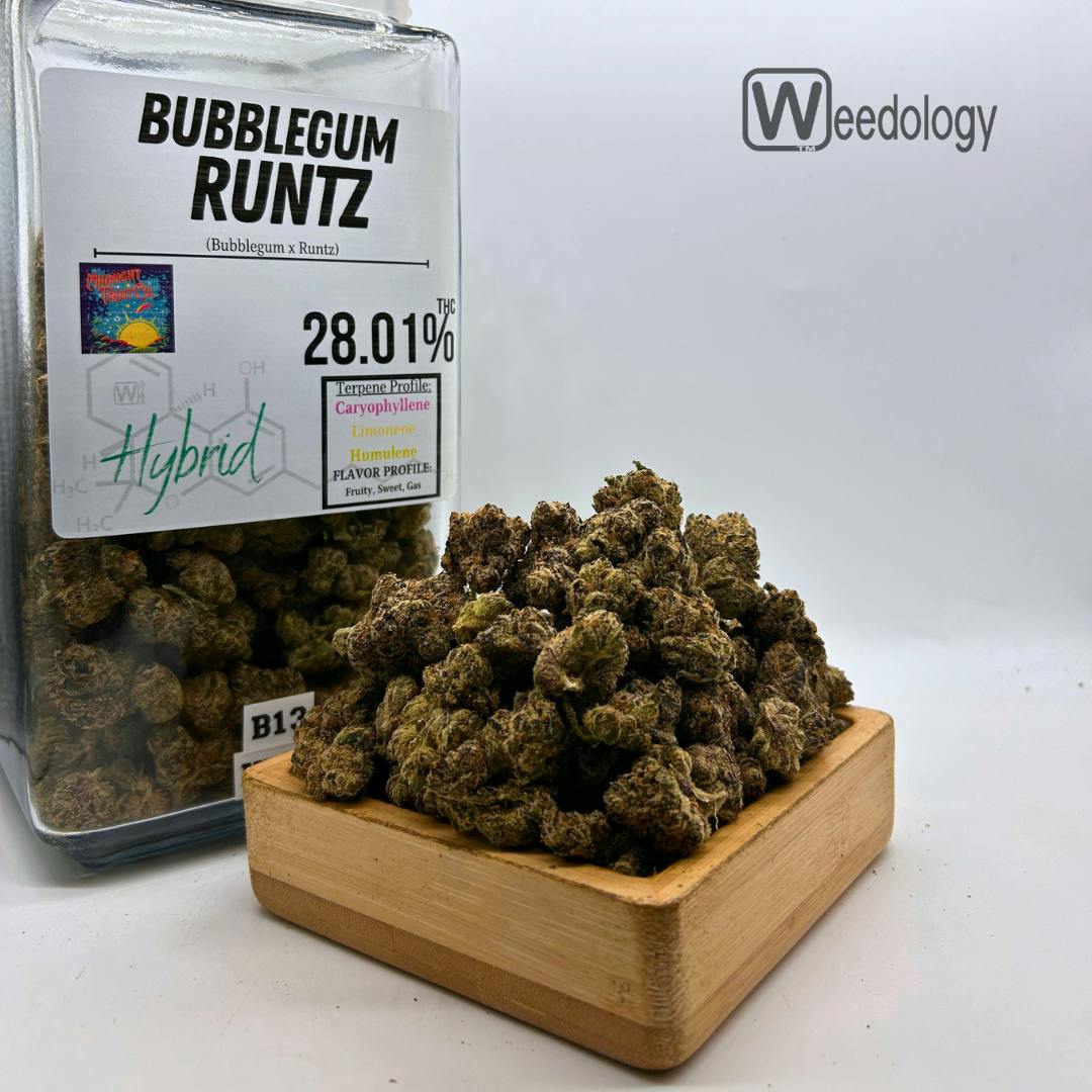Bubblegum Runtz: Bubblegum Runtz (H)