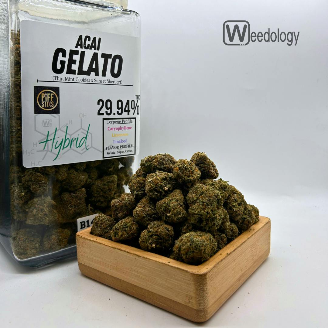Acai Gelato: Acai Gelato (H)