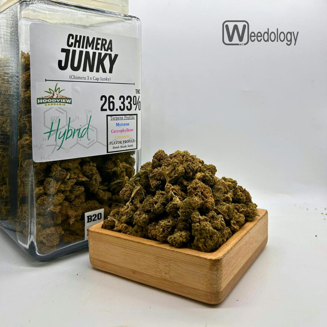 Chimera Junky (H): Chimera Junky (H)
