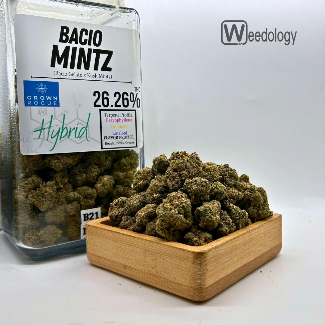 Bacio: Bacio Mintz (H)