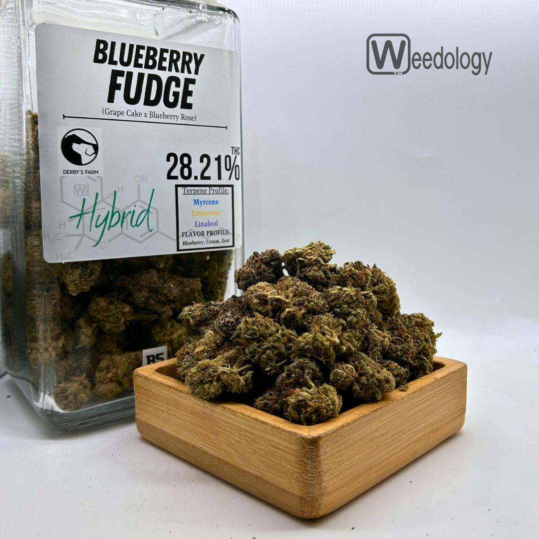 Blueberry Fudge (I-H)