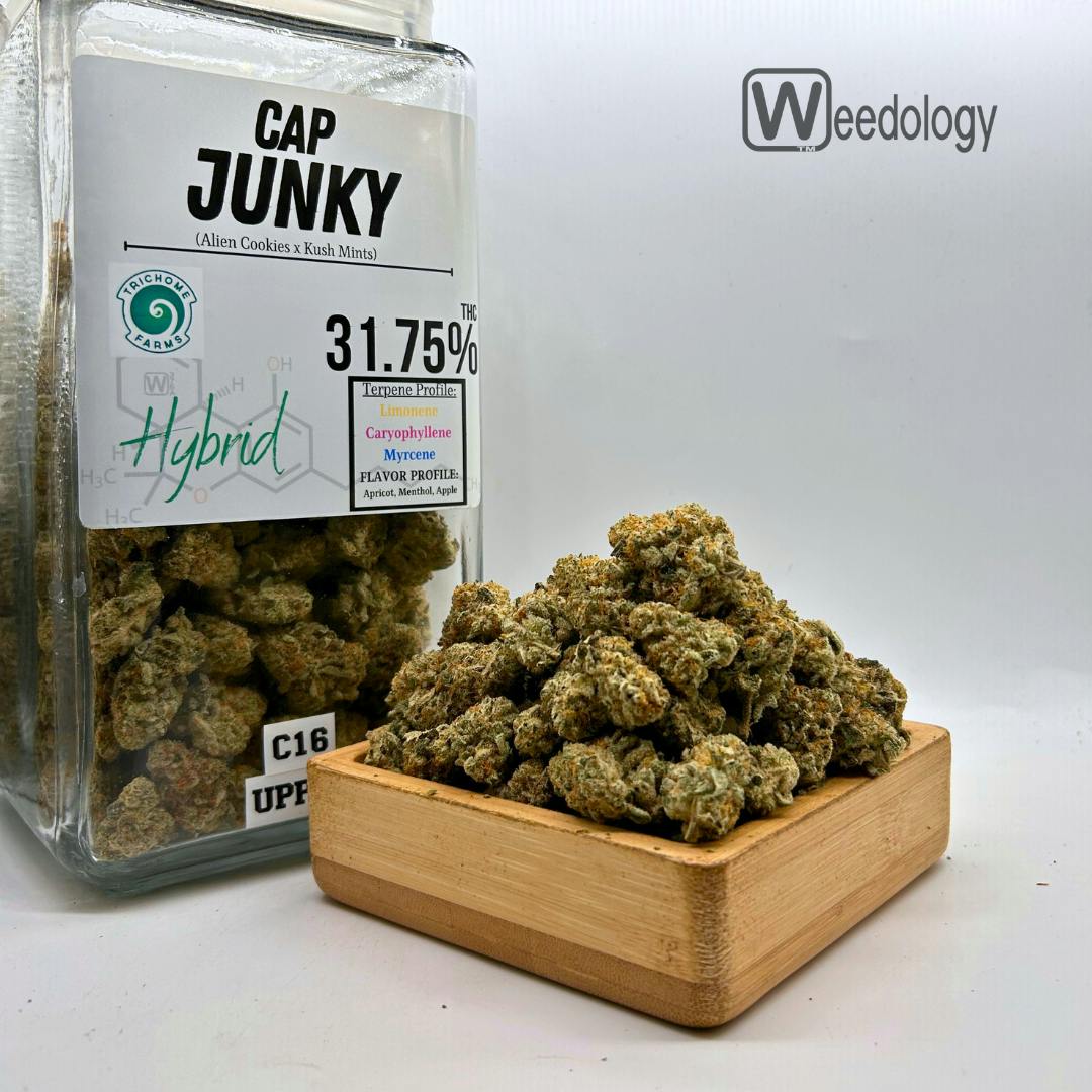 Cap Junky. (H)