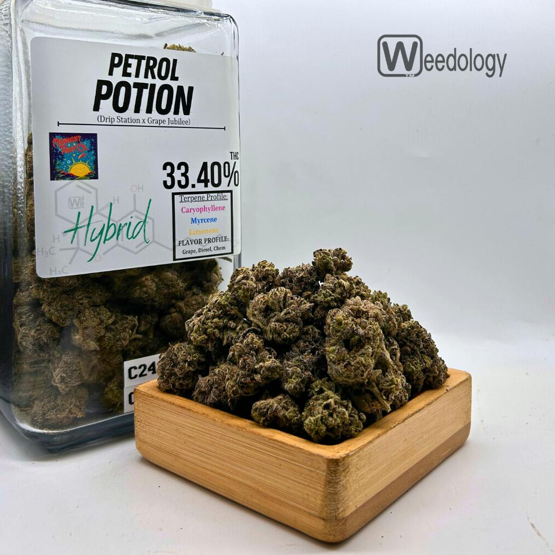 Petrol Potion
