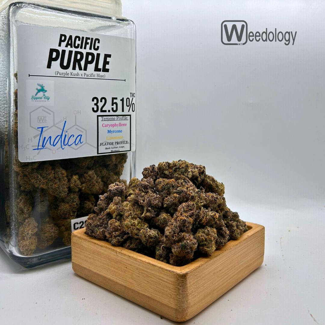 Pacific Purple