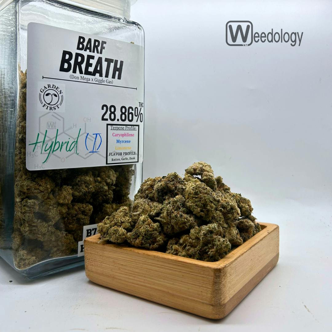Barf Breath: Barf Breath (I-H)