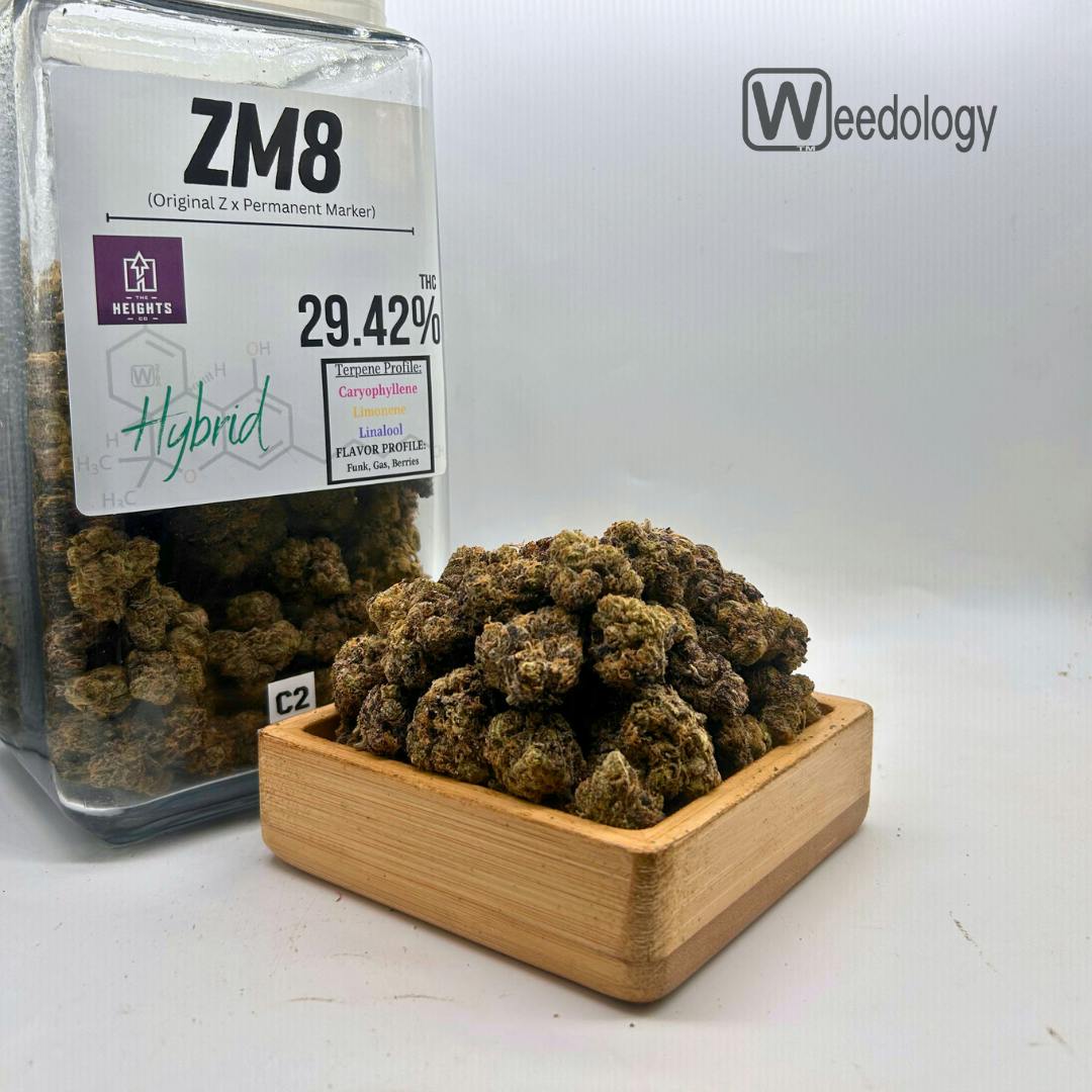 ZM8: ZM8 (H)
