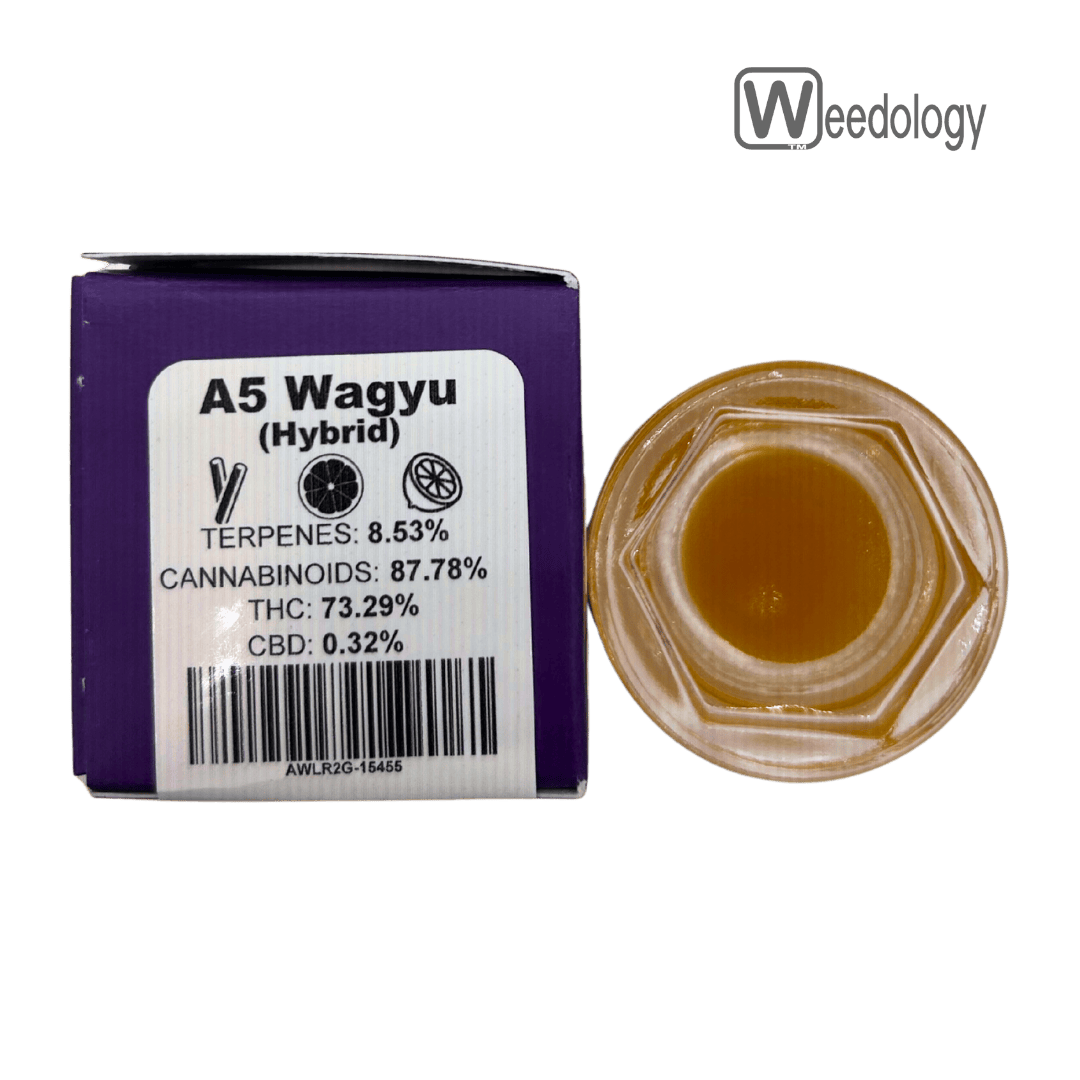 Bobsled: A5 Wagyu Lr